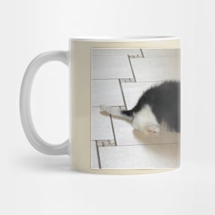 cavalier king charles spaniel black and white puppy Mug